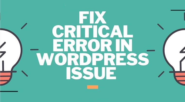 There Has Been a Critical Error on Your Website